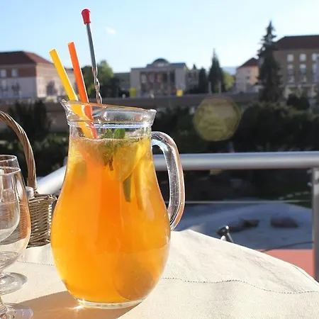 卢纳酒店 Žiar nad Hronom